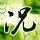 店家给吃出24块鸡头顾客免单